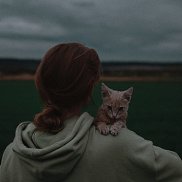 , 20 , -