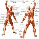 ������� ����� ���� �� ������� ���� ����������