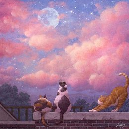 �����������