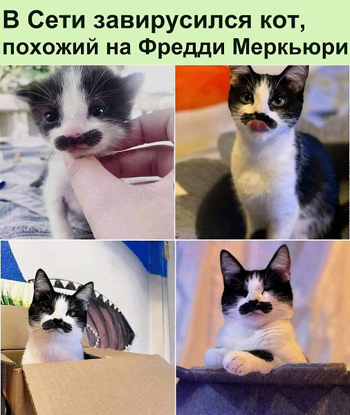 � ���� ����������� ������ - ����������, ��� � �������� � ������������ �������� �����