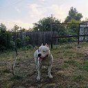 ���� ����, ������� - ��������� 20 ������� 2022 � ������ ���� ����������