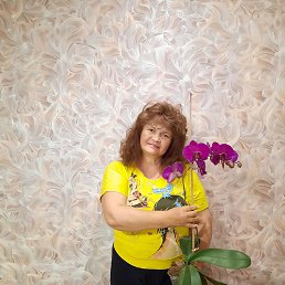 �����, ��������, 64 ����