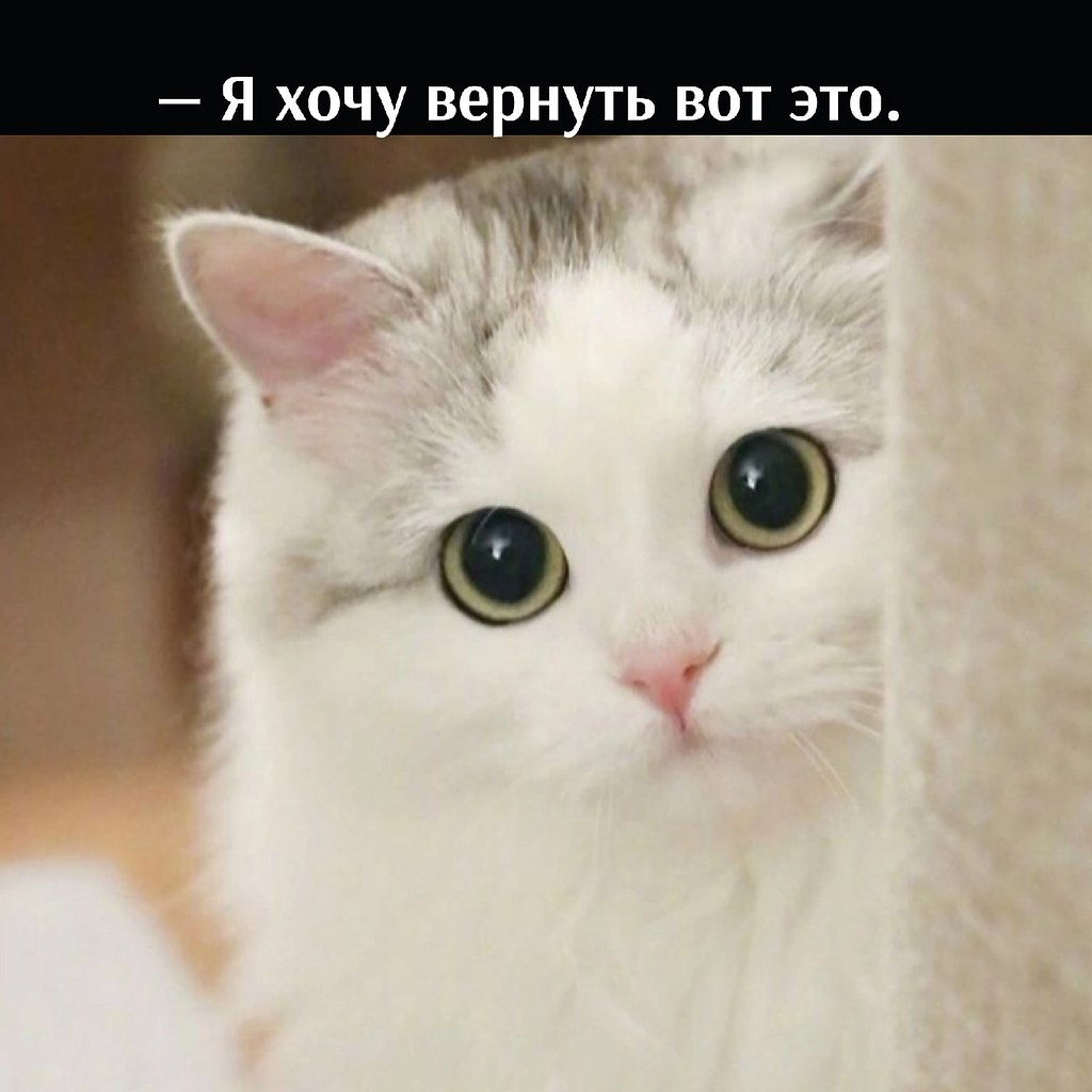       - 26  2022  16:12 - 3