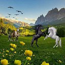 ���� Dil Murod, �����, 36 ��� - ��������� 4 ������� 2023