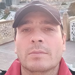 �����, �������, 38 ���