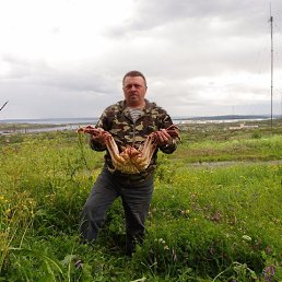 ���� �������, ���������, 68 ��� - ��������� 21 ������� 2022