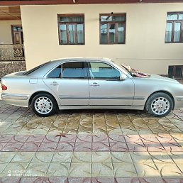 ���� �����, ������, 41 ��� - ��������� 5 ������� 2023