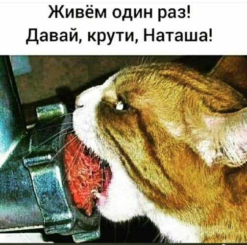   - 24  2022  20:02