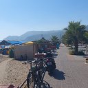 ���� �����, �����-���������, 36 ��� - ��������� 1 ������� 2022 � ������ ��������