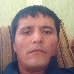 ��������, ������, 37 ���