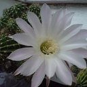 ���� ������, ������� ������, 60 ��� - ��������� 22 ������ 2022 � ������ ���� ����� � ��������