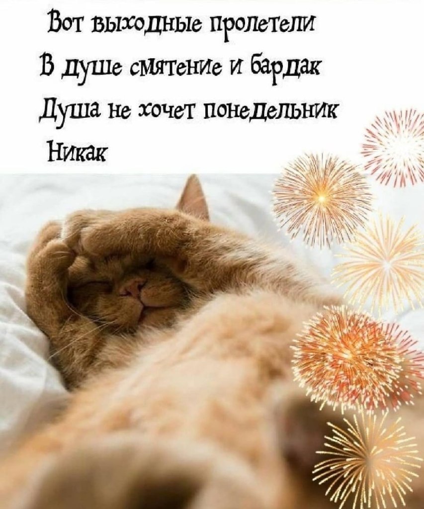   - 23  2022  11:28