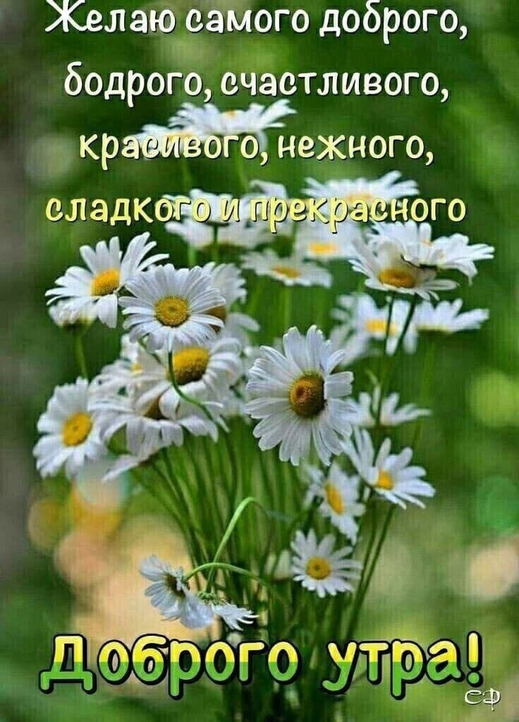  ,    . - 27  2022  16:43 - 3