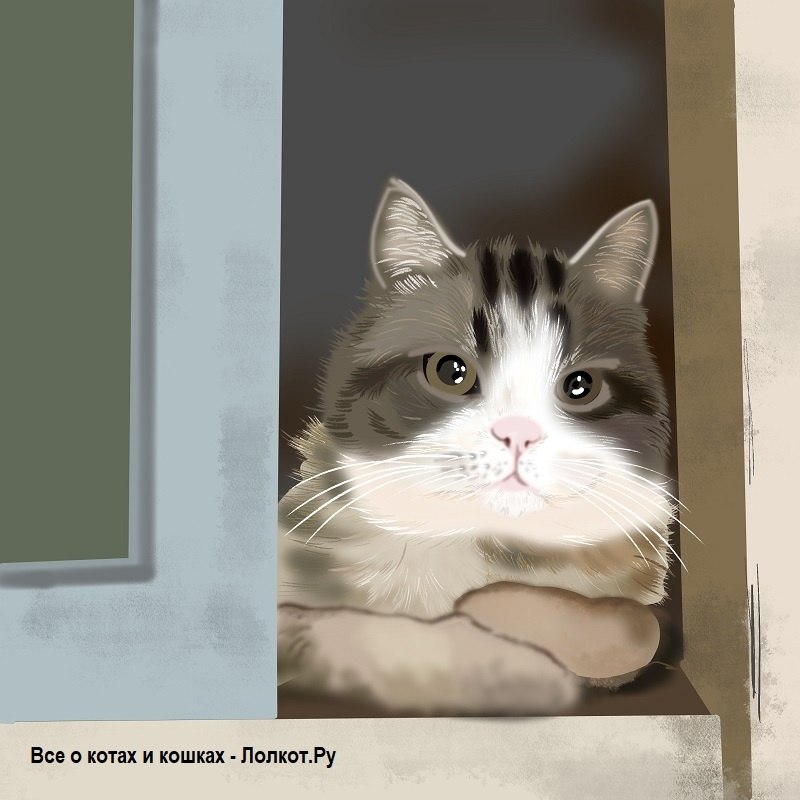 Кот сидел на подоконнике и смотрел вдаль. Я подошла сзади и спросила: – Что интересного показывают? ...