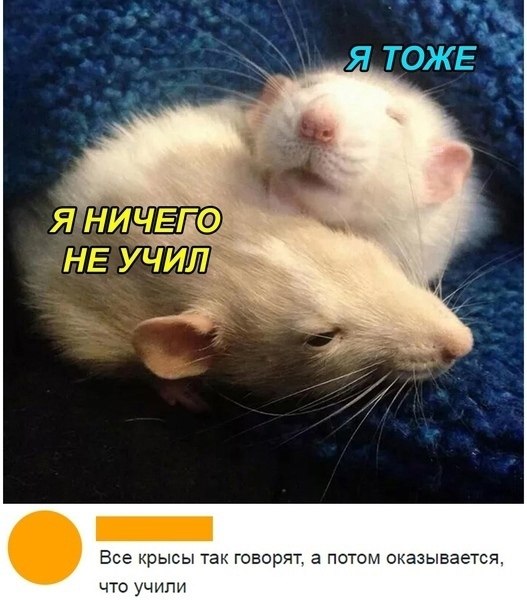 �����? ��, �� �������! - 24 ���� 2022 � 00:36