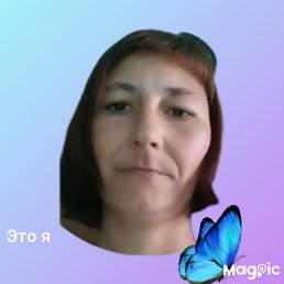 , 41 , 