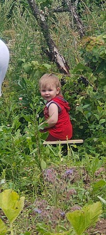 ���� ������, ������, 62 ���� - ��������� 4 ������� 2022