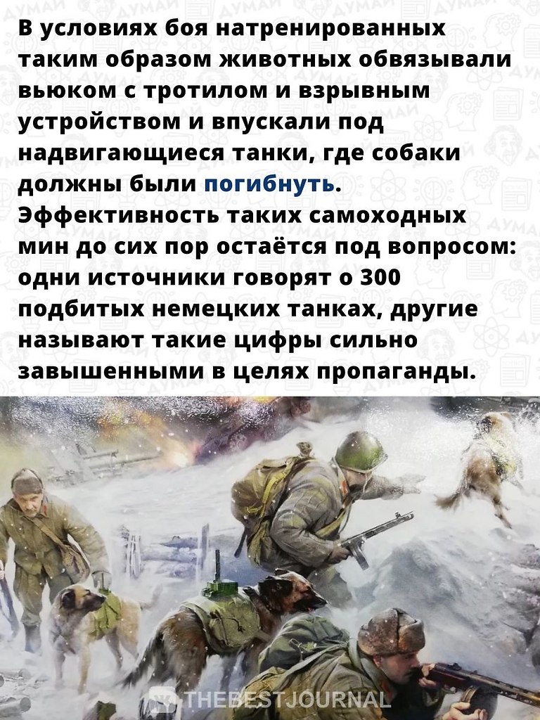    ,       . - 3