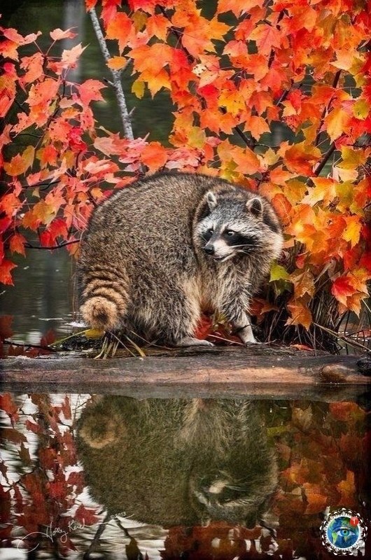 cea ec, a o o o e...    - 4