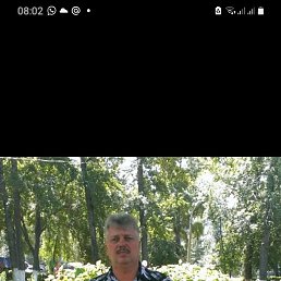 , , 56 