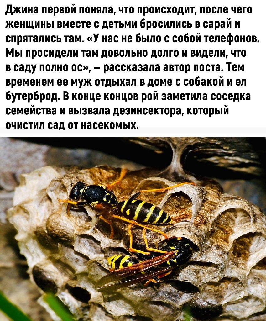  ,  ! - 3