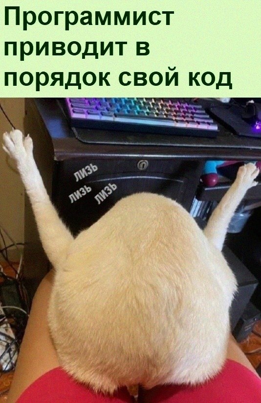   :D - 11  2022  06:34