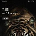  Dima, , 37  -  15  2023    