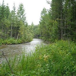 ������, ����������, 53 ����