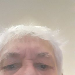 �������, ������, 71 ���