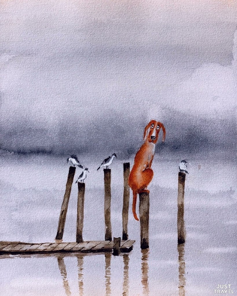 o oo a.#art #travel #world - 9