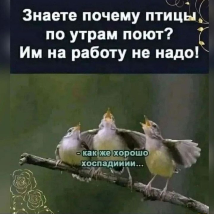   - 6  2022  10:27