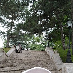 ���� ���������, ����������, 54 ���� - ��������� 19 ������� 2022