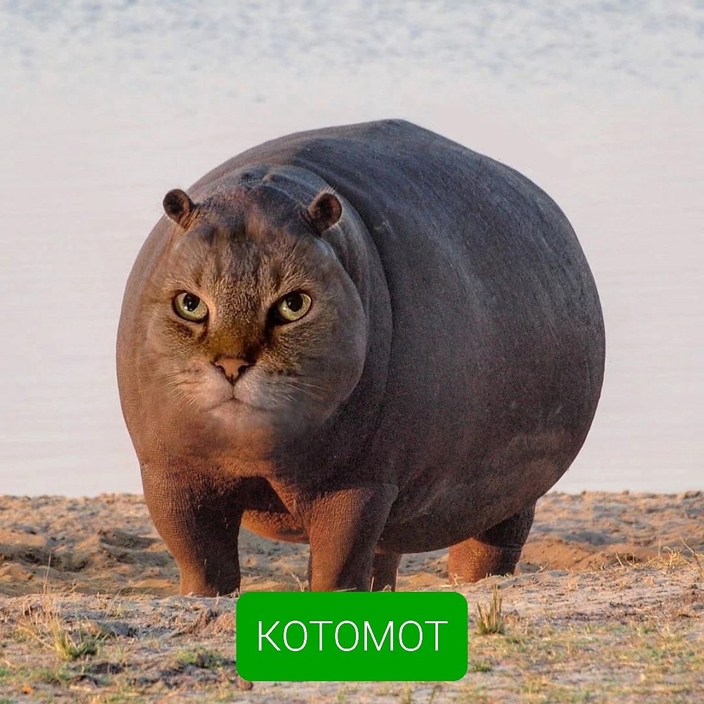   py,    - 8