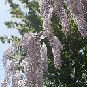 ���� �������, ����� - ��������� 11 ��� 2022 � ������ ���� ����������