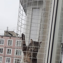 ���� �������, ������, 63 ���� - ��������� 18 ������� 2022