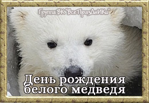   ,    . - 28  2022  21:33 - 5