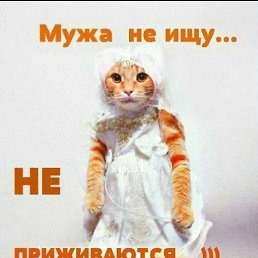 , , 52 
