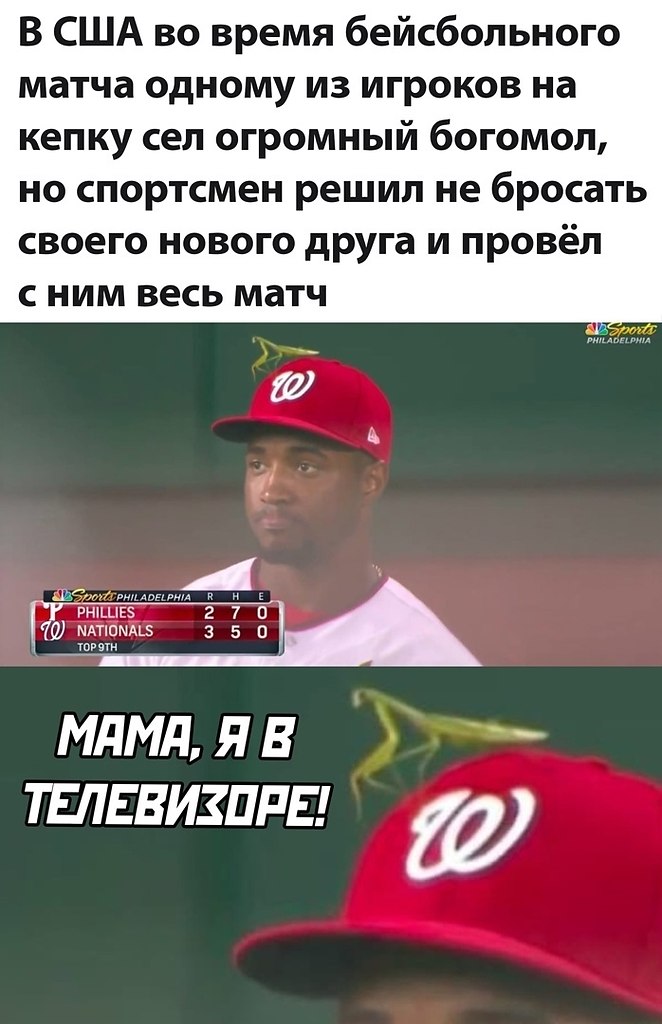 ☆ ☆ - 24  2022  16:05