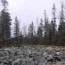 ���� ���������, �����, 67 ��� - ��������� 18 ��� 2022 � ������ ������ ����