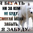 ���� ������, �������, 43 ���� - ��������� 16 ������ 2022