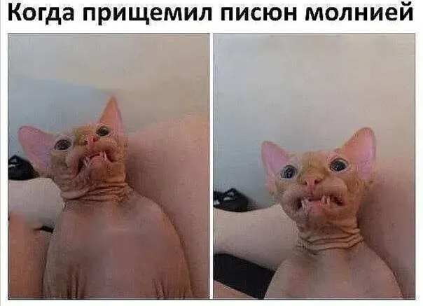 ***Victoria Viktorovna*** - 21  2022  08:35