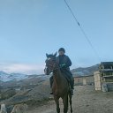  , , 46  -  26  2022    