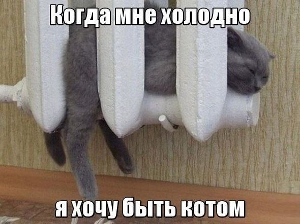    - 8  2022  07:28