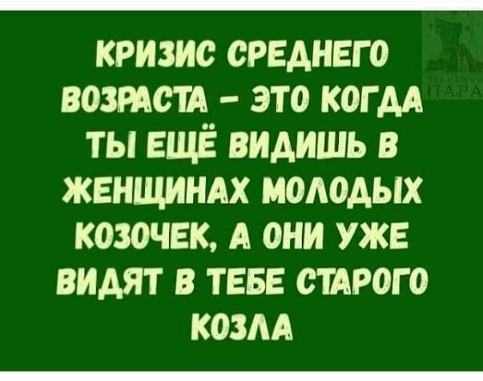   - 28  2022  07:43