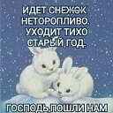  , , 64  -  31  2022    