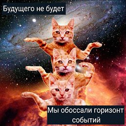 ���� Bhjghjjgy, ����������� - ��������� 4 ������� 2022