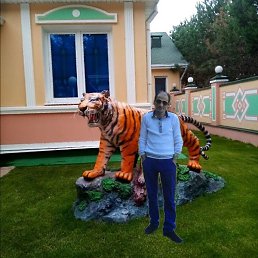 �����, ������, 46 ���