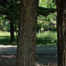 �����, ������, 48 ���