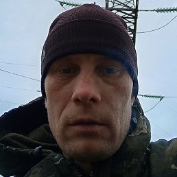 ����, ������, 41 ���