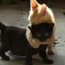 ���� ���������, ����������� - ��������� 27 ������ 2022 � ������ ���� ����������